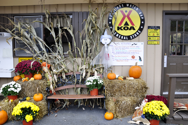 Halloween decorations